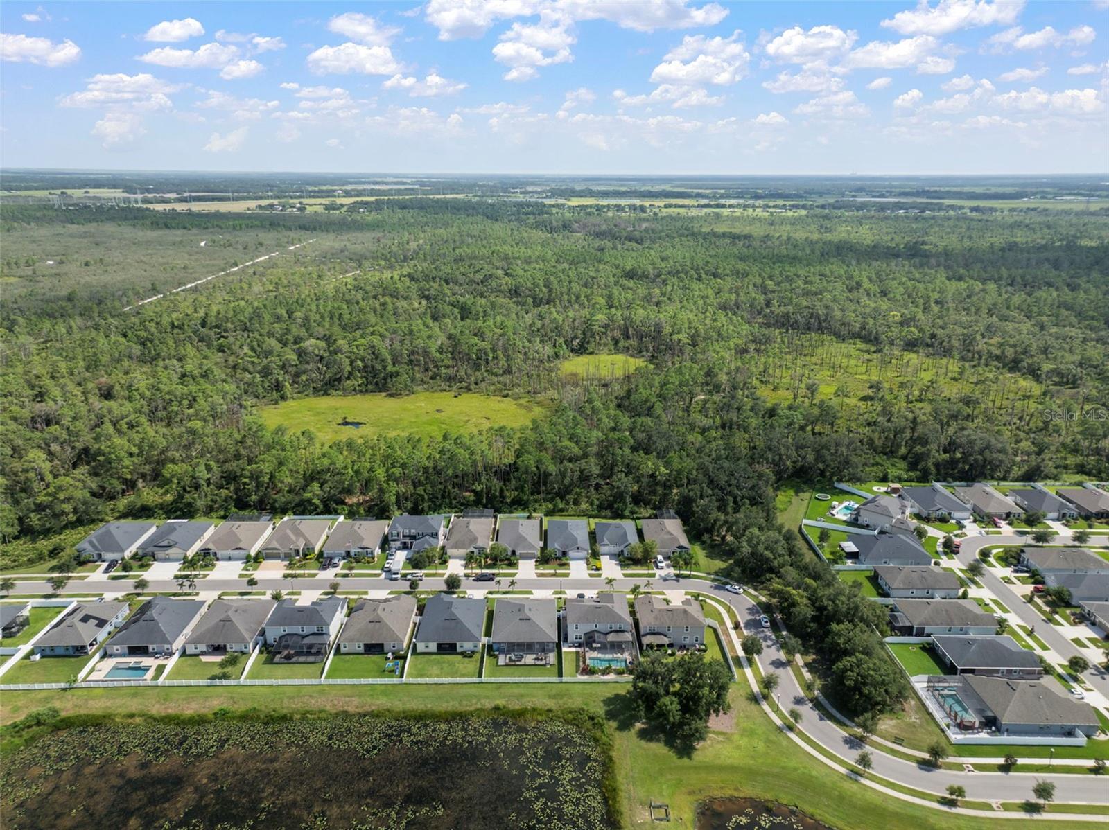 Listing photo id 46 for 13223 Baby Belle Drive