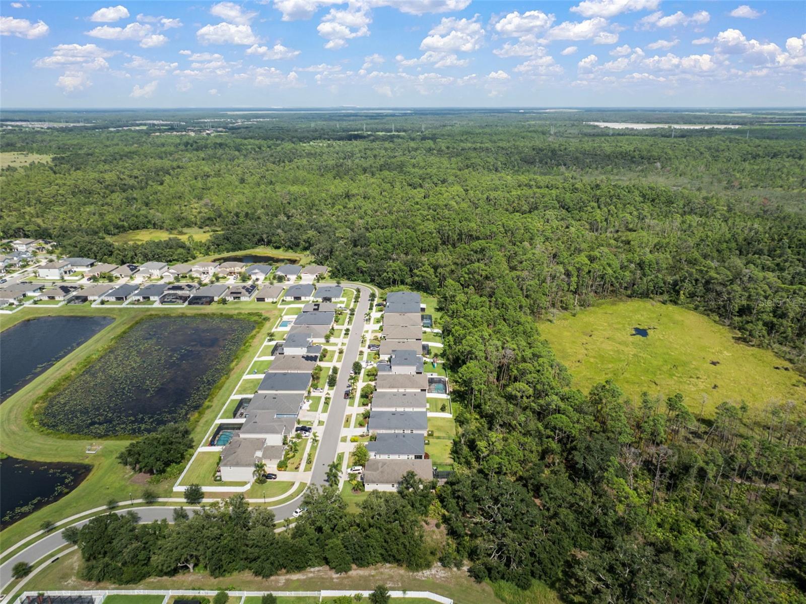Listing photo id 47 for 13223 Baby Belle Drive
