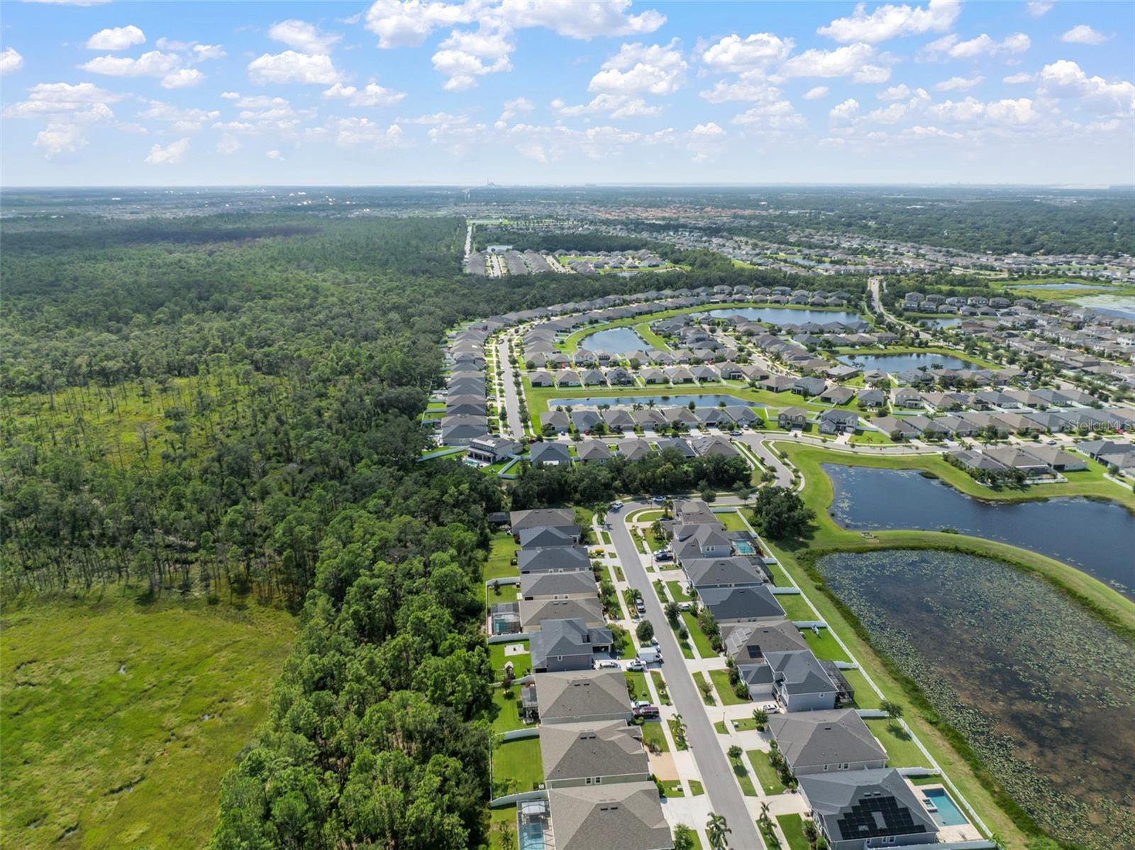 Listing photo id 48 for 13223 Baby Belle Drive