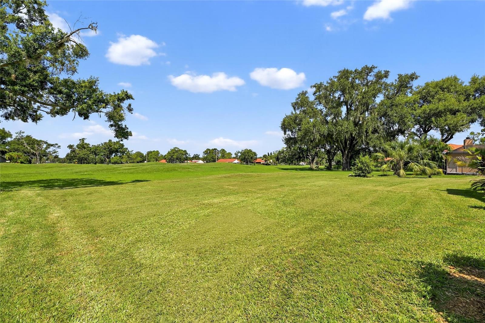 Image 87 of 87 For 1903 Country Club Court