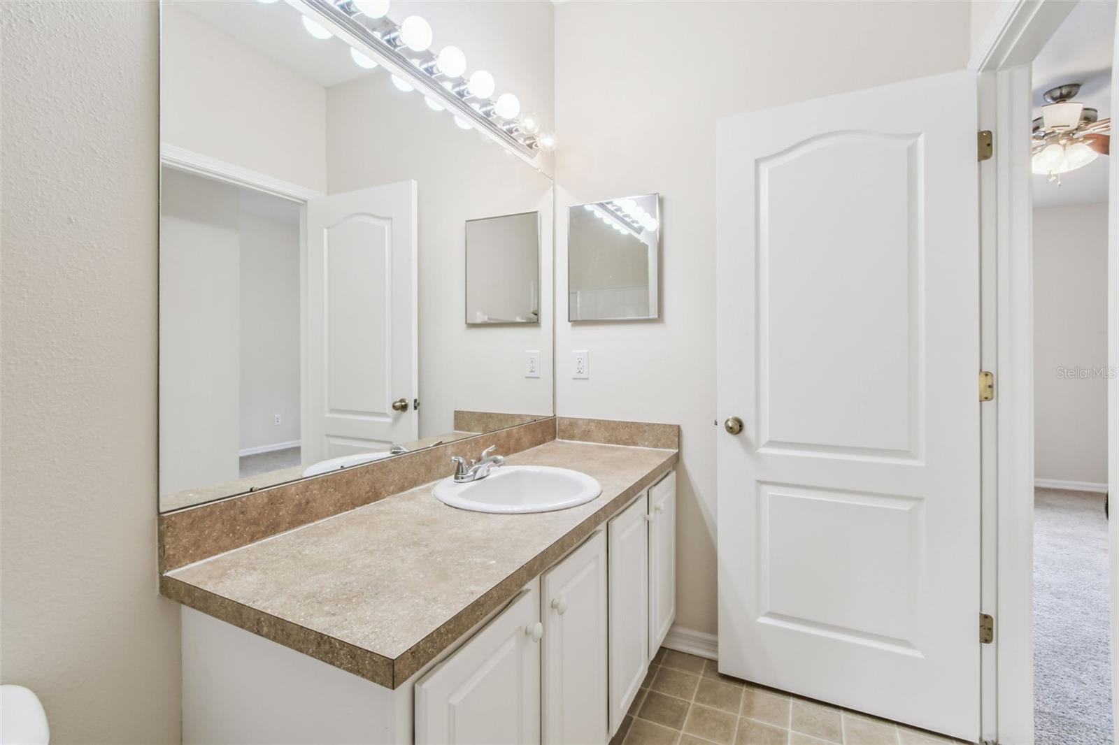 Image 32 of 67 For 15813 Fishhawk Falls Dr