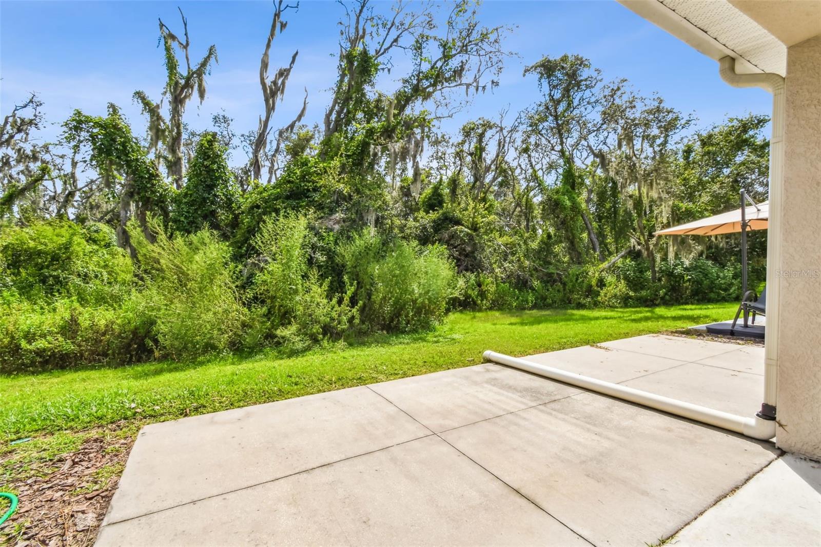 Image 39 of 67 For 15813 Fishhawk Falls Dr