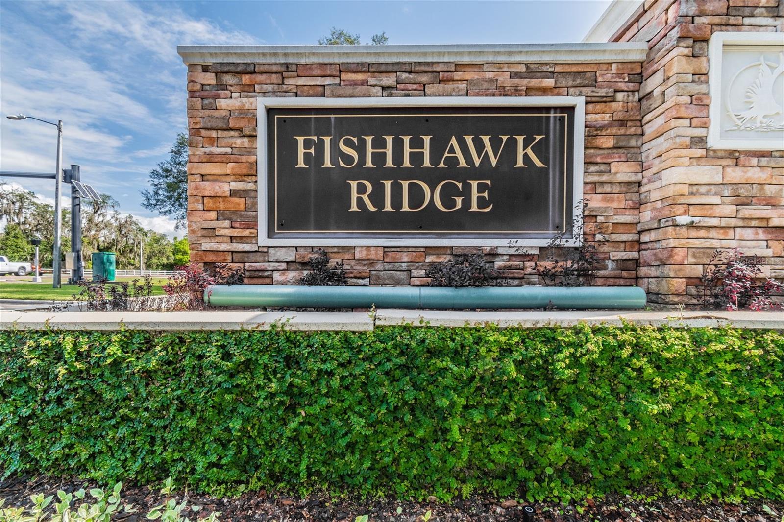 Image 44 of 67 For 15813 Fishhawk Falls Dr
