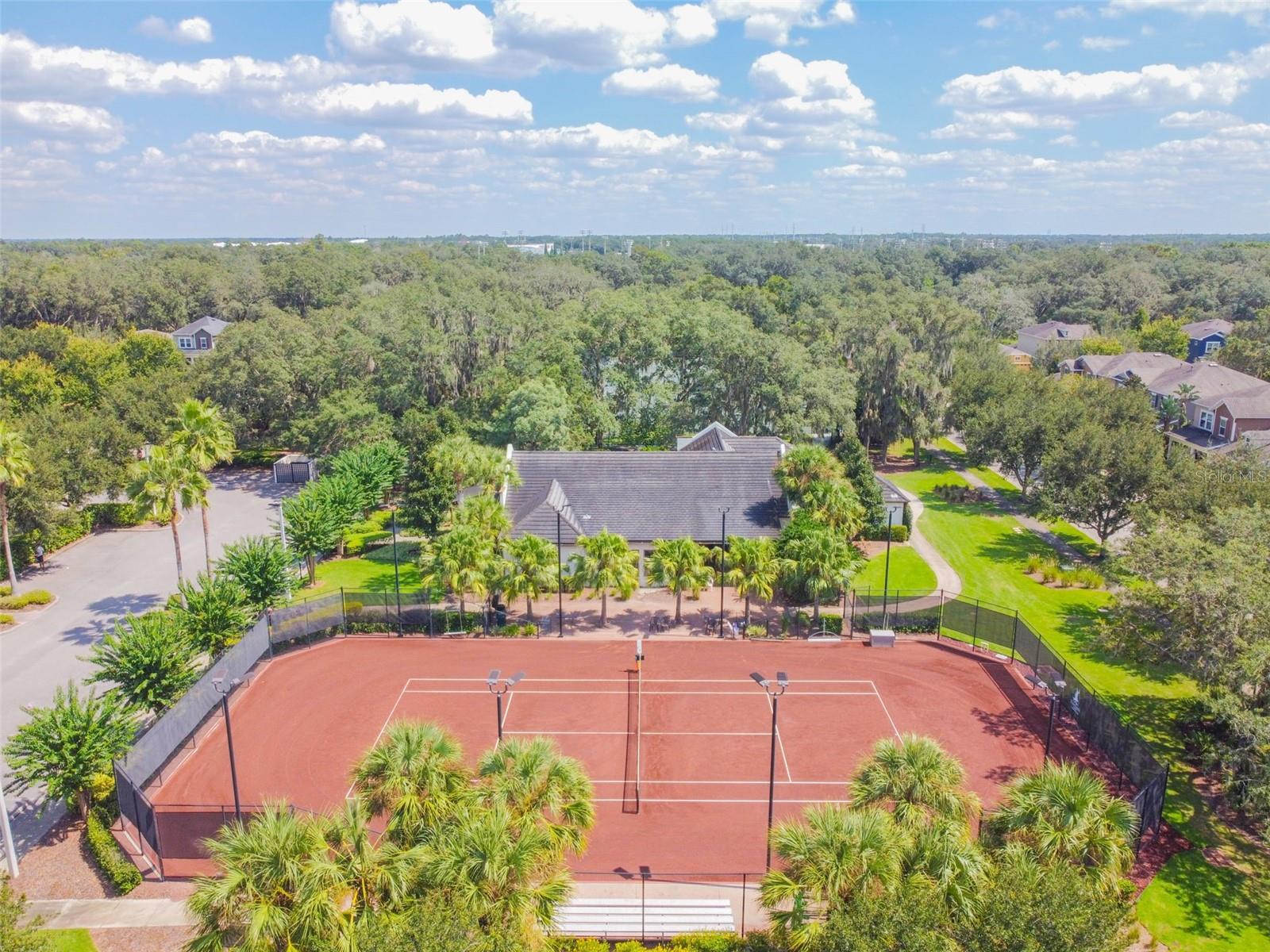 Image 61 of 67 For 15813 Fishhawk Falls Dr