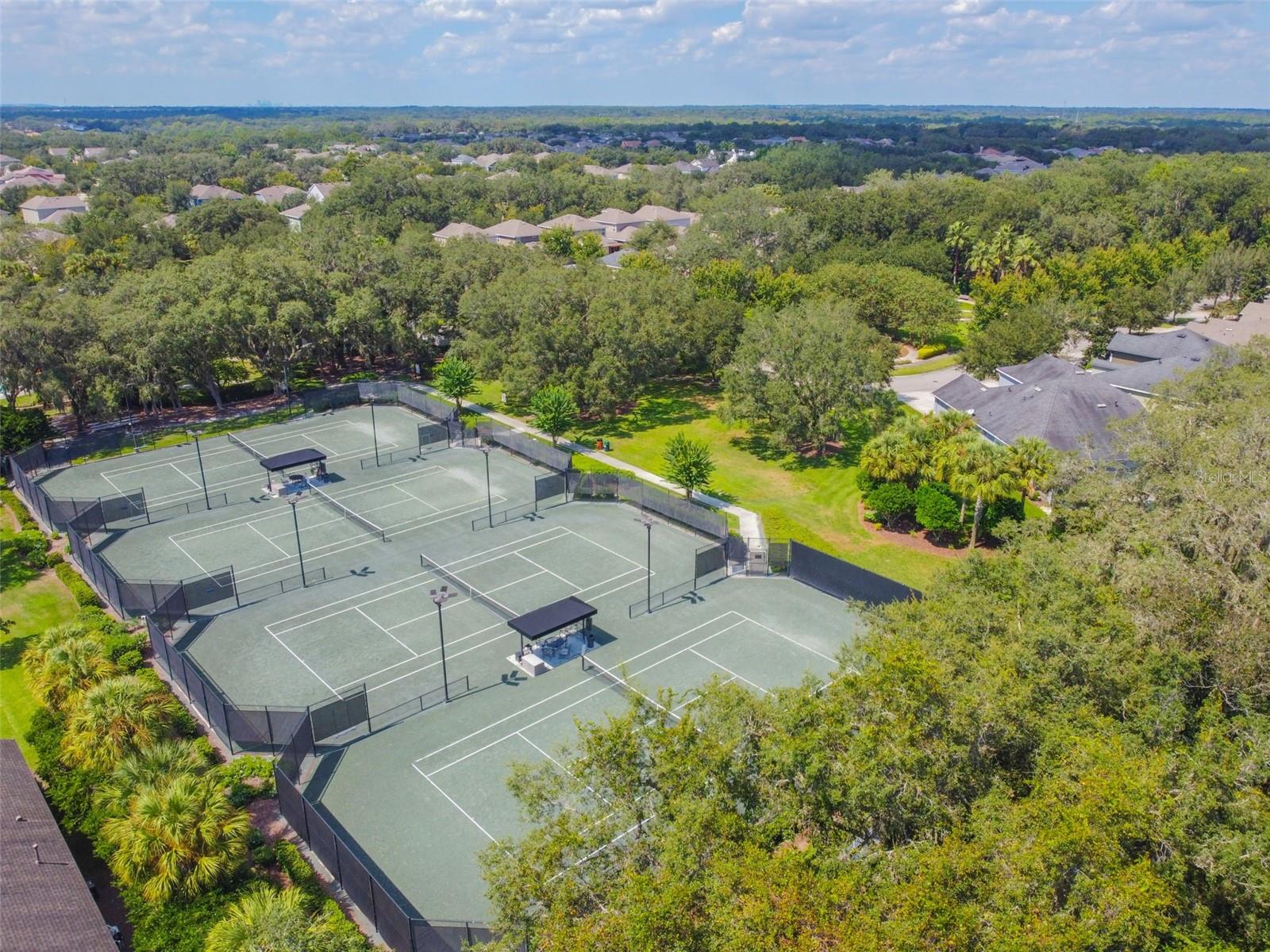 Image 62 of 67 For 15813 Fishhawk Falls Dr