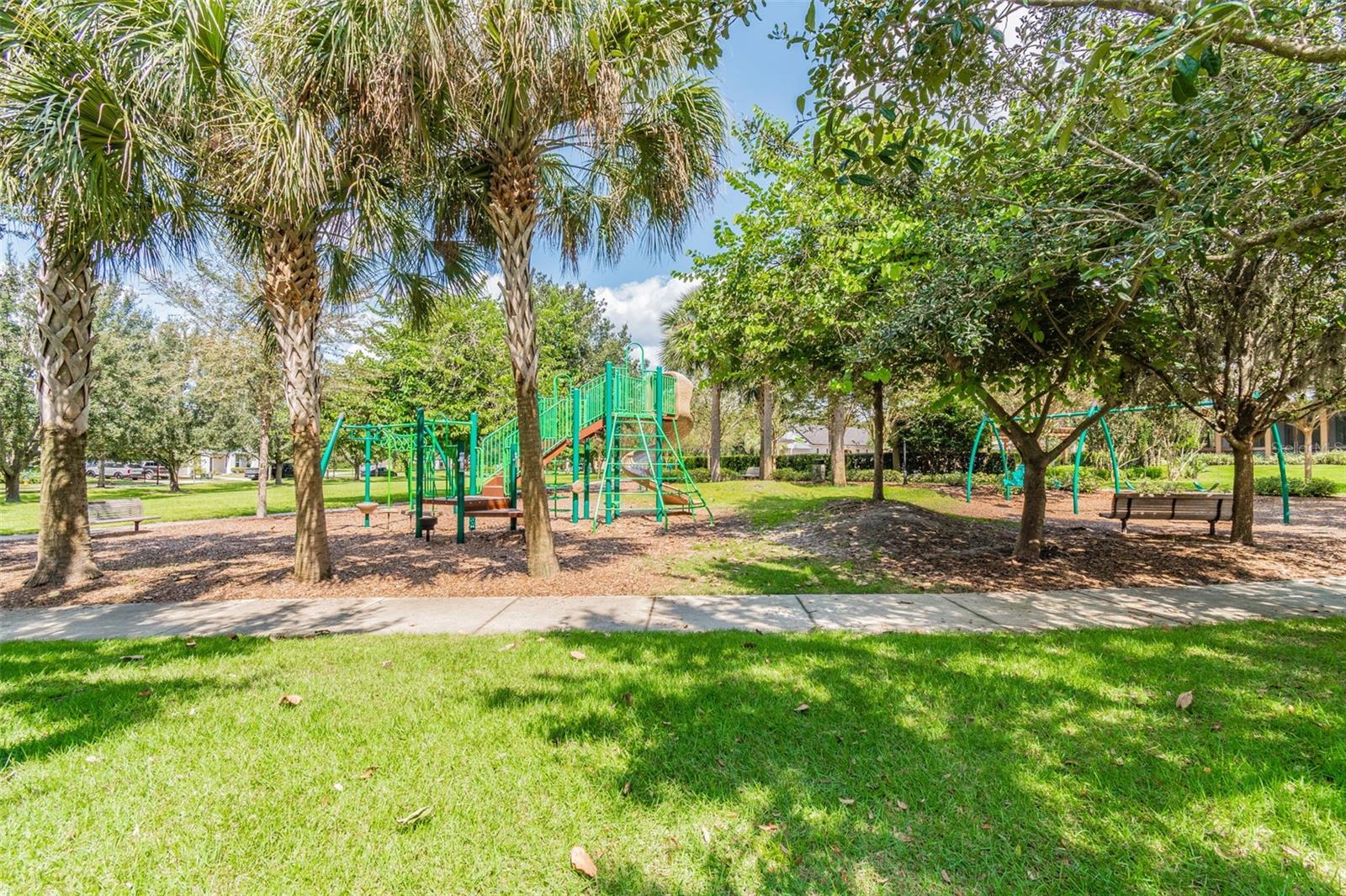 Image 64 of 67 For 15813 Fishhawk Falls Dr