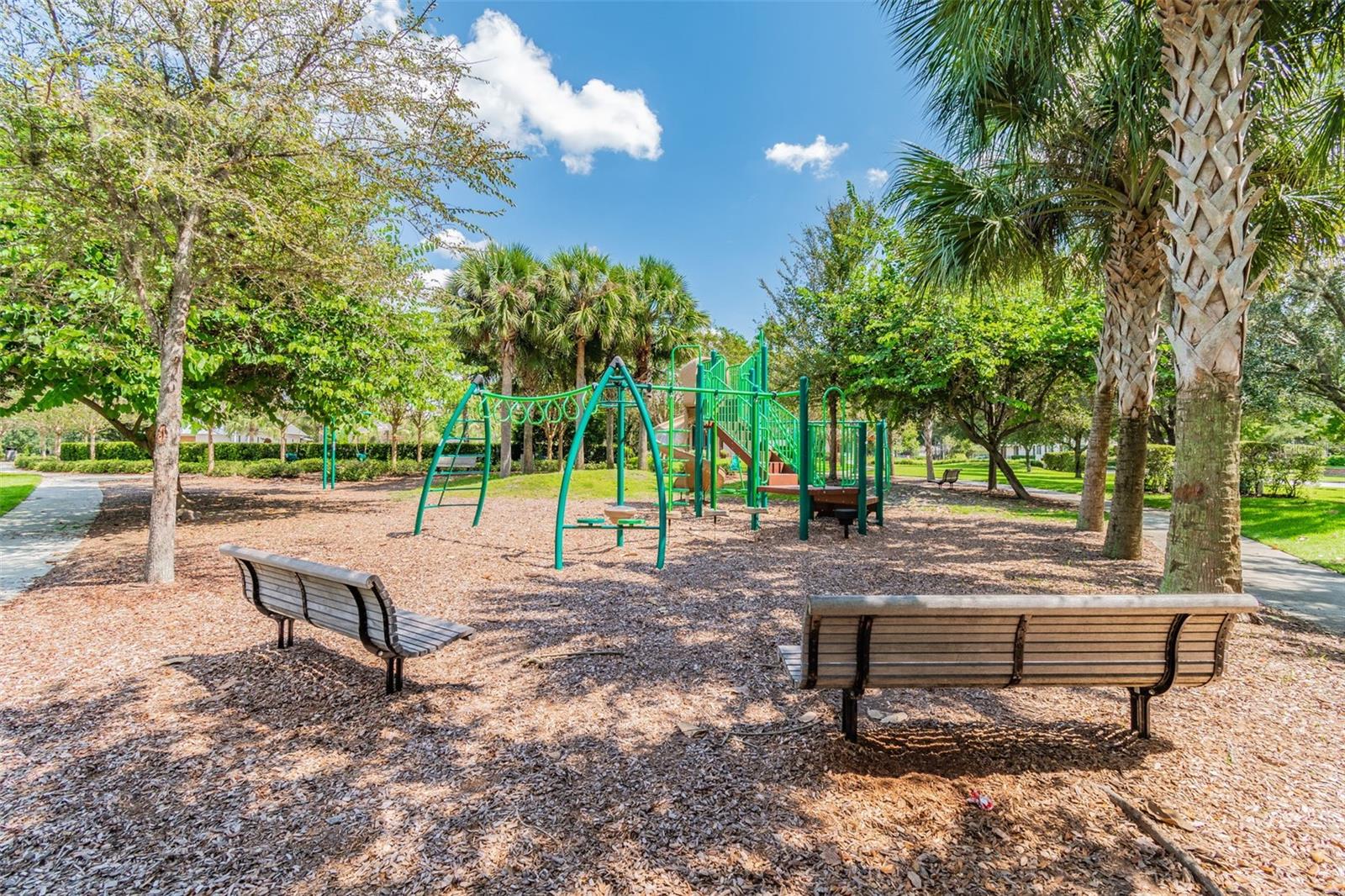 Image 65 of 67 For 15813 Fishhawk Falls Dr