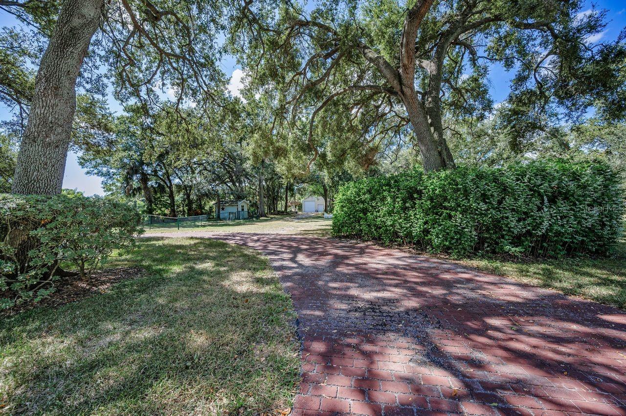 Listing photo id 8 for 8898 61st Street N