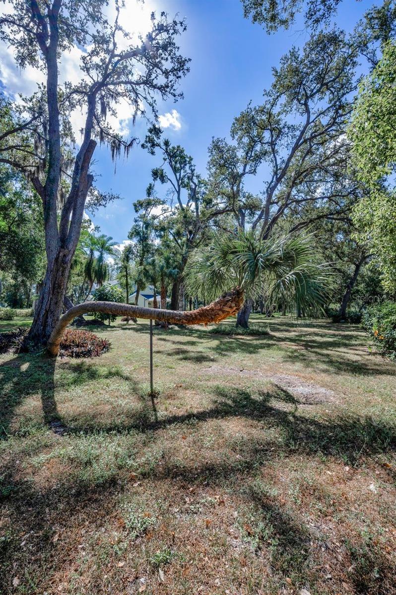 Listing photo id 62 for 8898 61st Street N