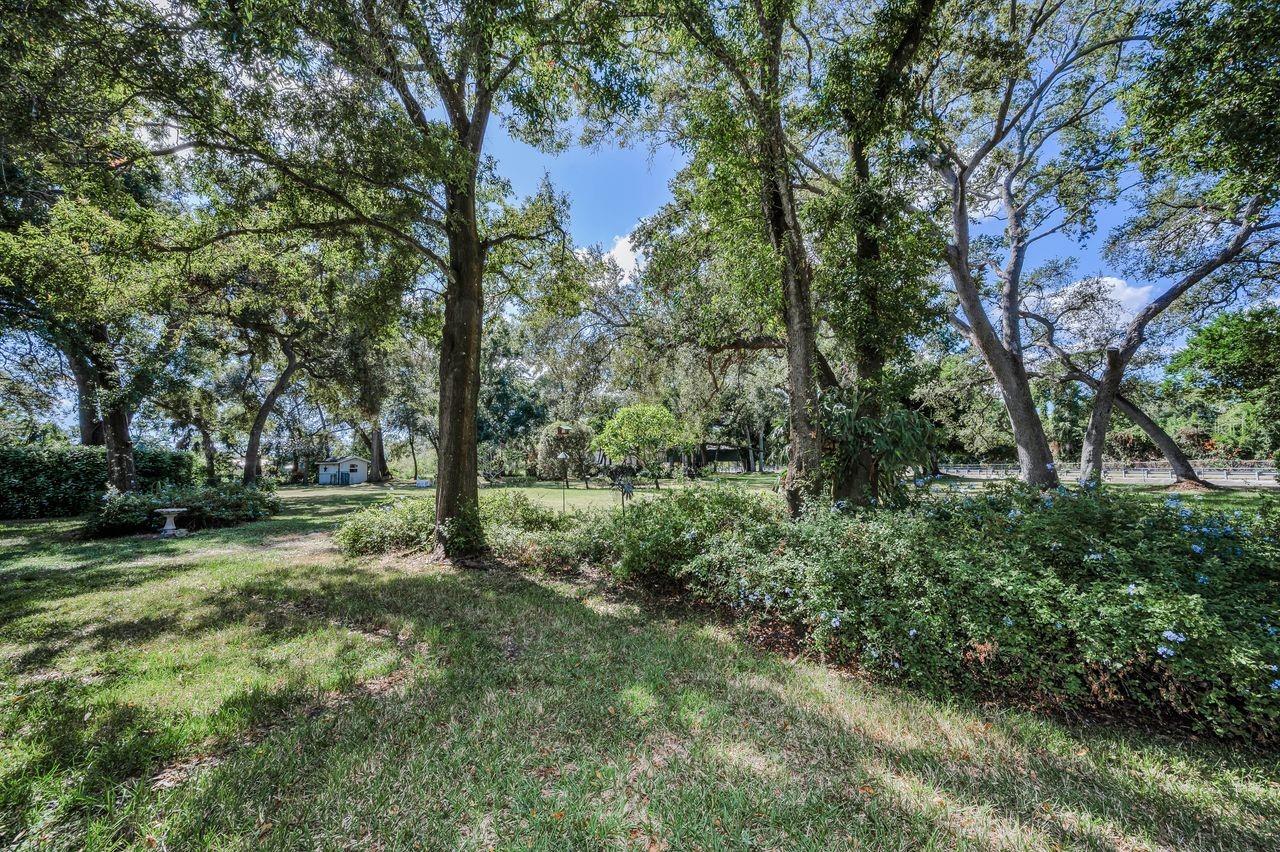 Listing photo id 63 for 8898 61st Street N