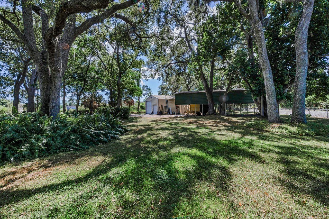 Listing photo id 66 for 8898 61st Street N
