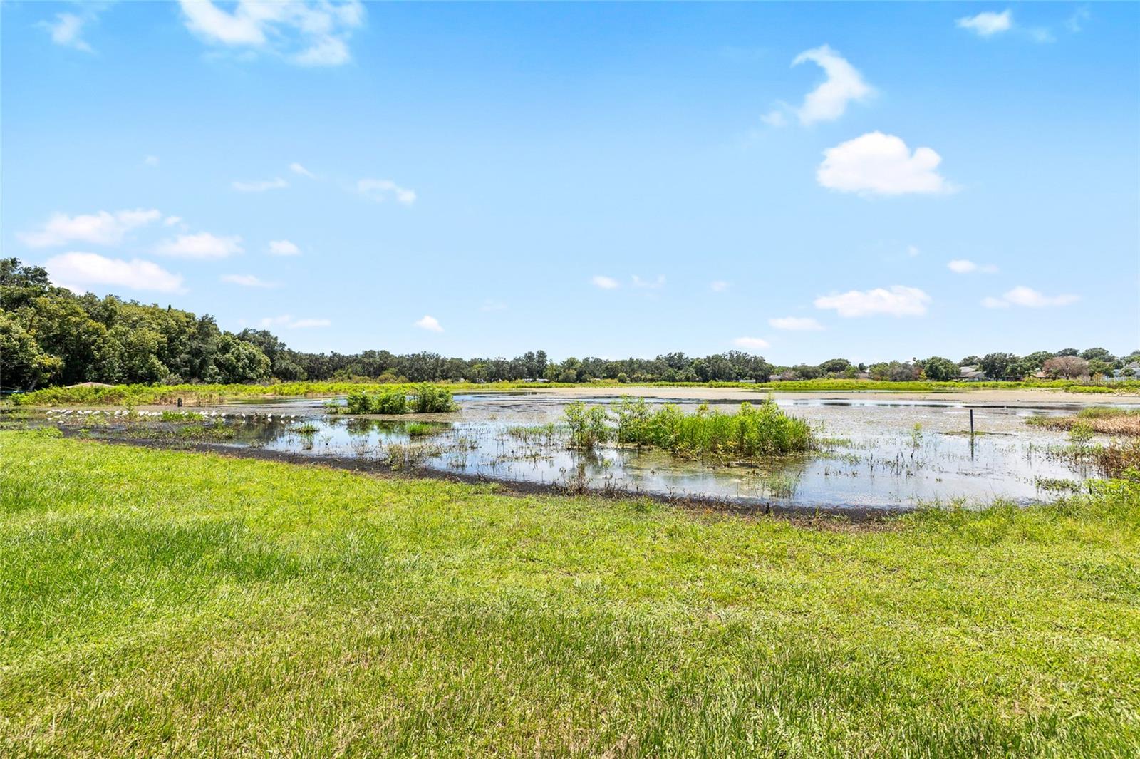 Details for 7713 23rd Street, ZEPHYRHILLS, FL 33540
