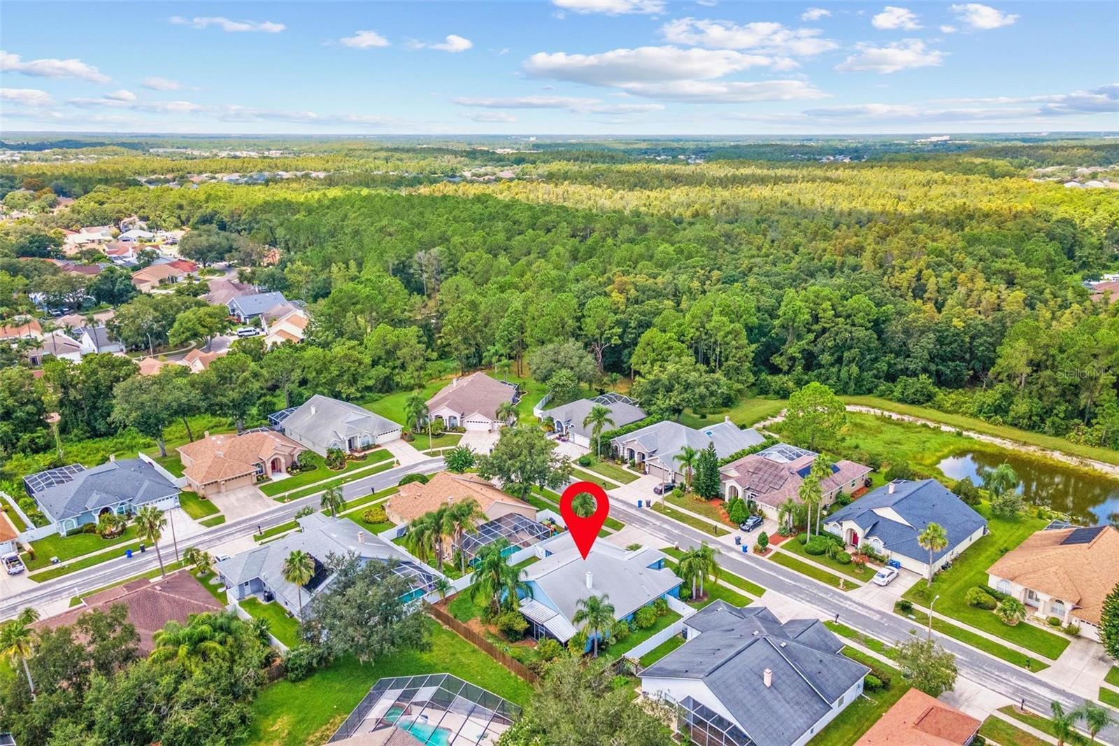Listing photo id 39 for 10031 Colonnade Drive