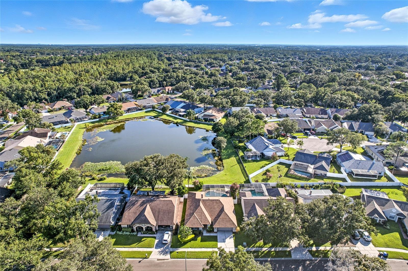 Image 43 of 54 For 9540 Pebble Glen Avenue