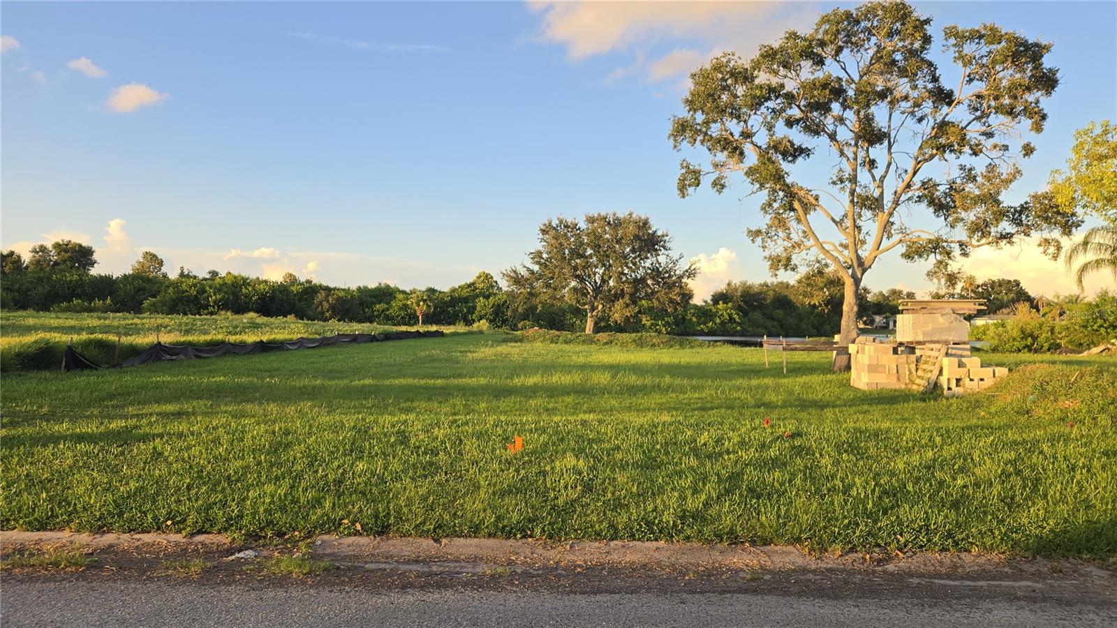 Details for 3071 Jackson Drive, HOLIDAY, FL 34691