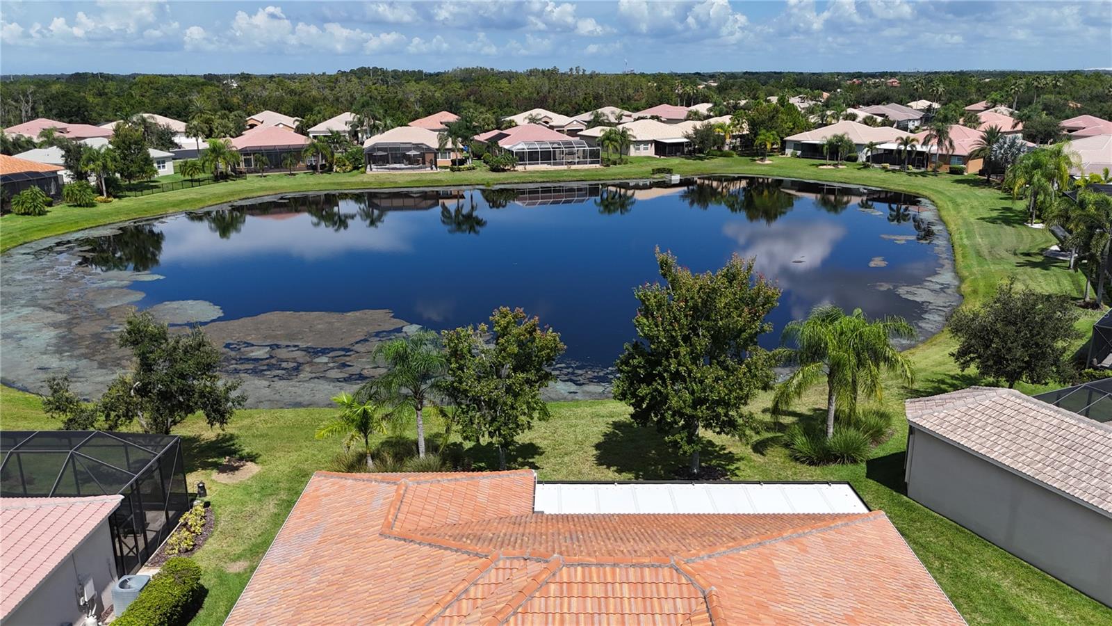 Image 59 of 75 For 16244 Diamond Bay Drive