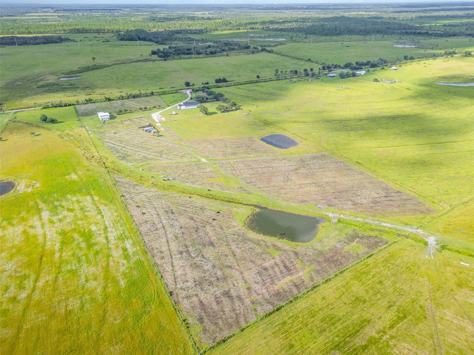 Image 28 of 42 For 10807 Lily County Line Road
