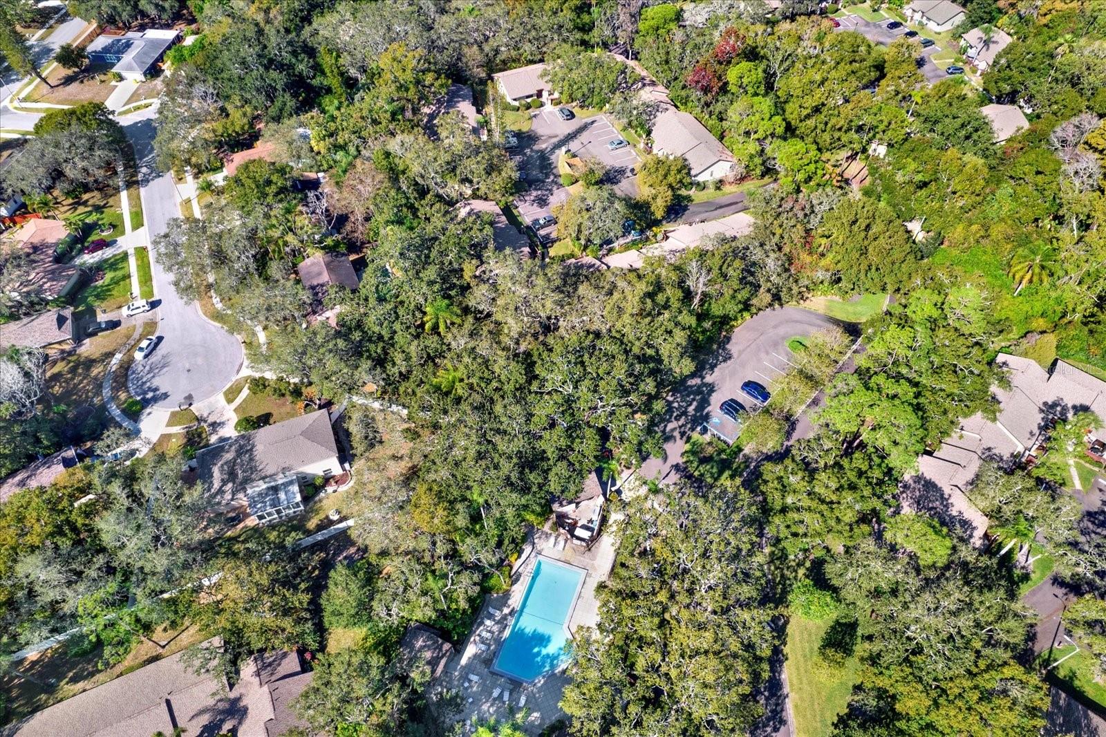 Image 31 of 32 For 4024 Corkwood Court