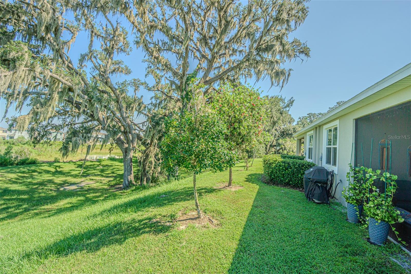 Listing photo id 8 for 31457 Mango Fade Way