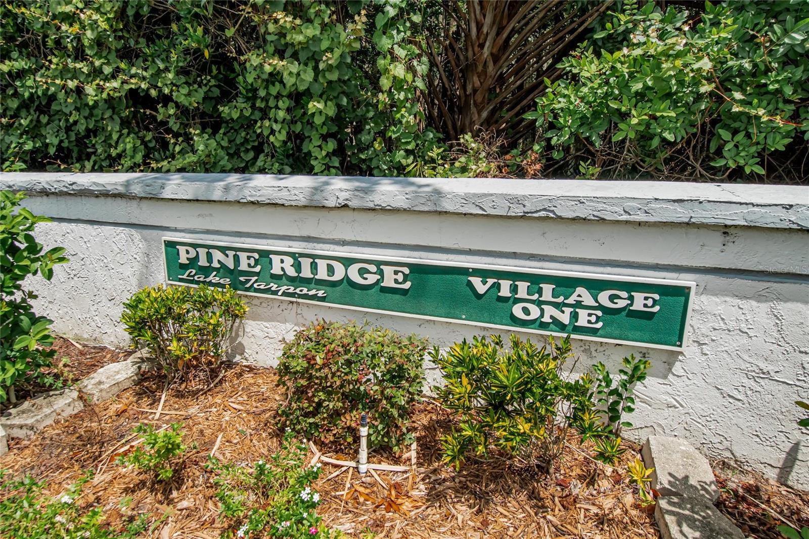 Image 52 of 59 For 1225 Pine Ridge Circle W A2