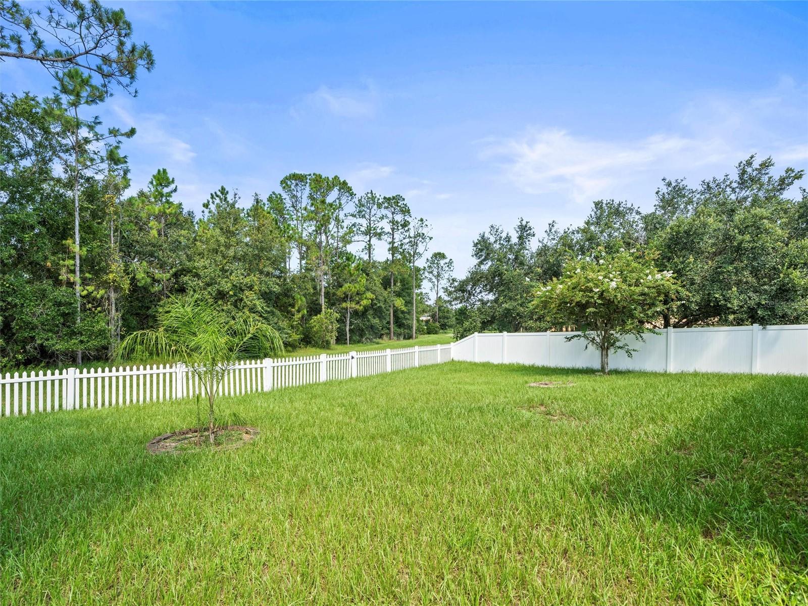 Image 38 of 47 For 2559 Bartolo Drive
