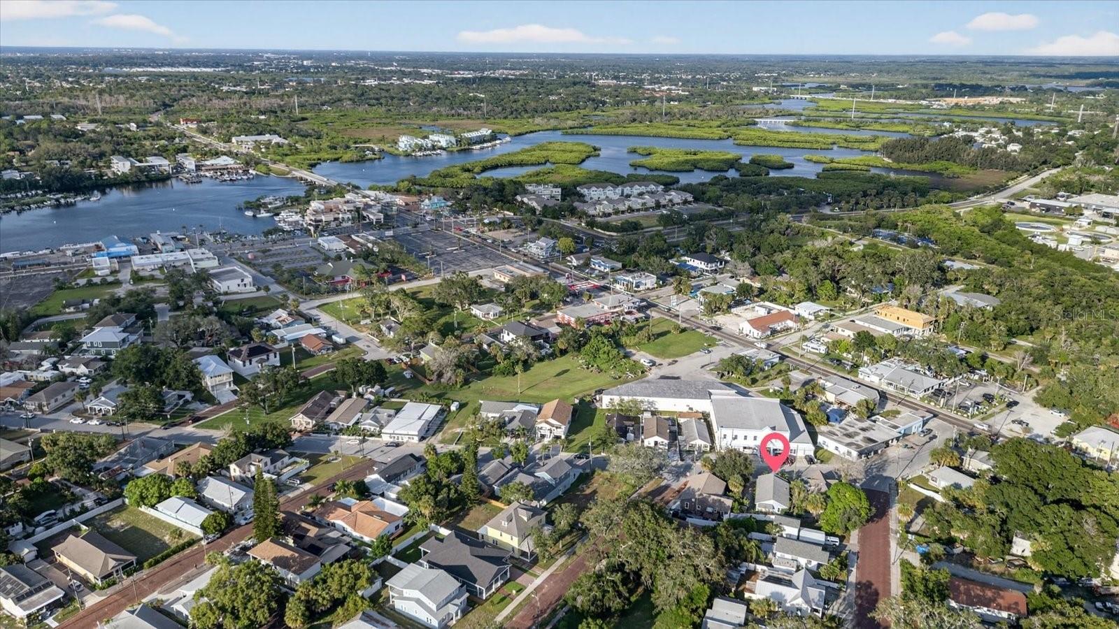 Image 9 of 96 For 207 Athens Street