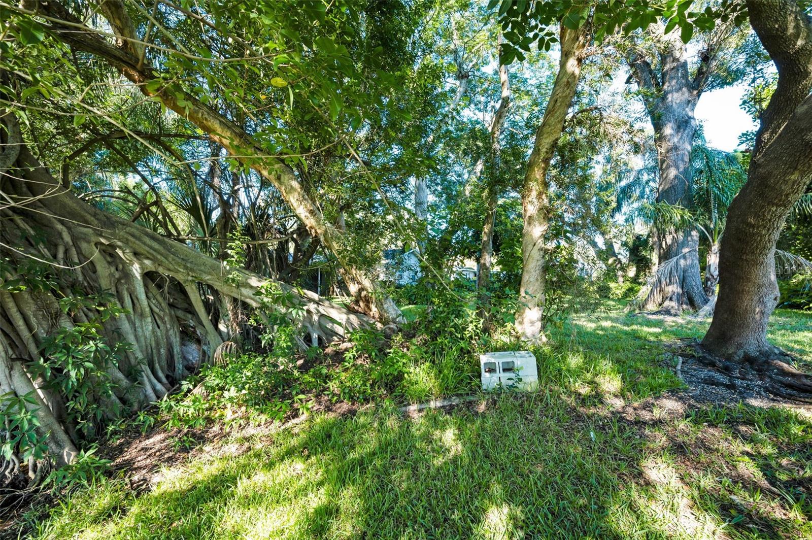 Image 56 of 64 For 1831 Beverly Circle N
