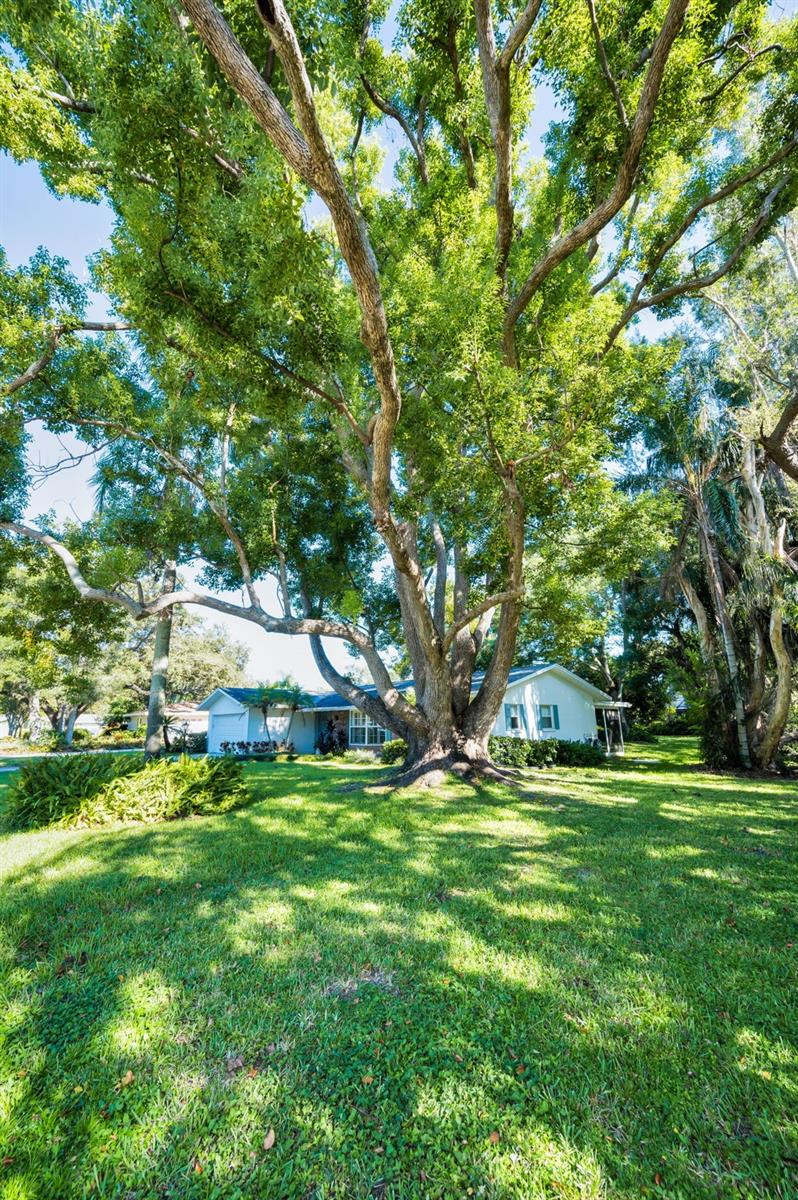 Image 63 of 64 For 1831 Beverly Circle N