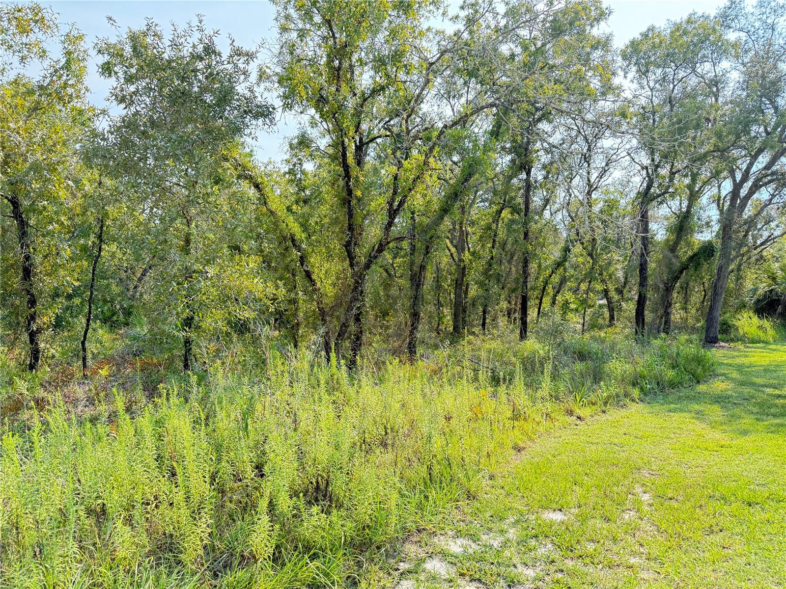 Details for 11096 Marsh Wren Avenue, WEEKI WACHEE, FL 34614