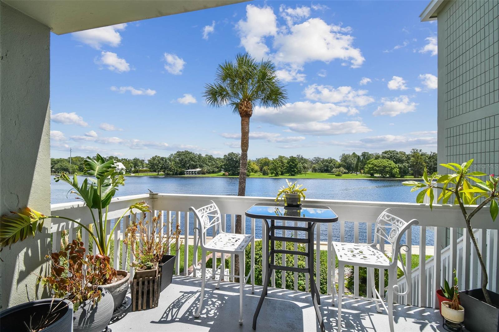 Image 36 of 73 For 2424 Tampa Bay Boulevard D206