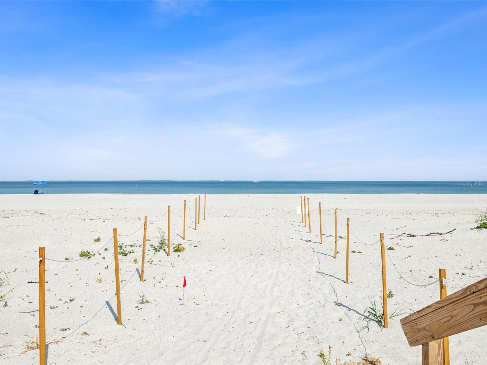 Image 46 of 73 For 1430 Gulf Boulevard 710