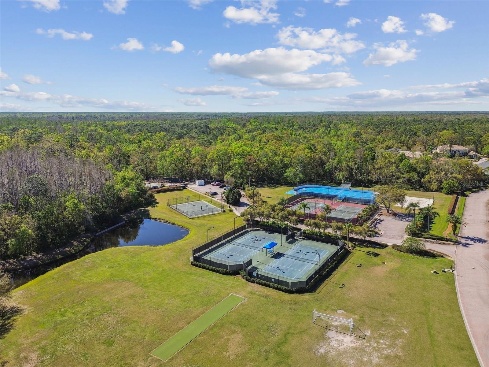 Image 83 of 92 For 18005 Malakai Isle Drive