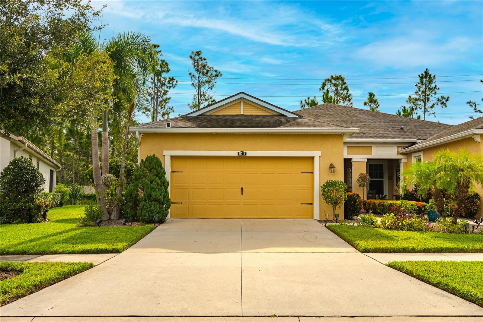 Details for 11714 Wrought Pine Loop, RIVERVIEW, FL 33569