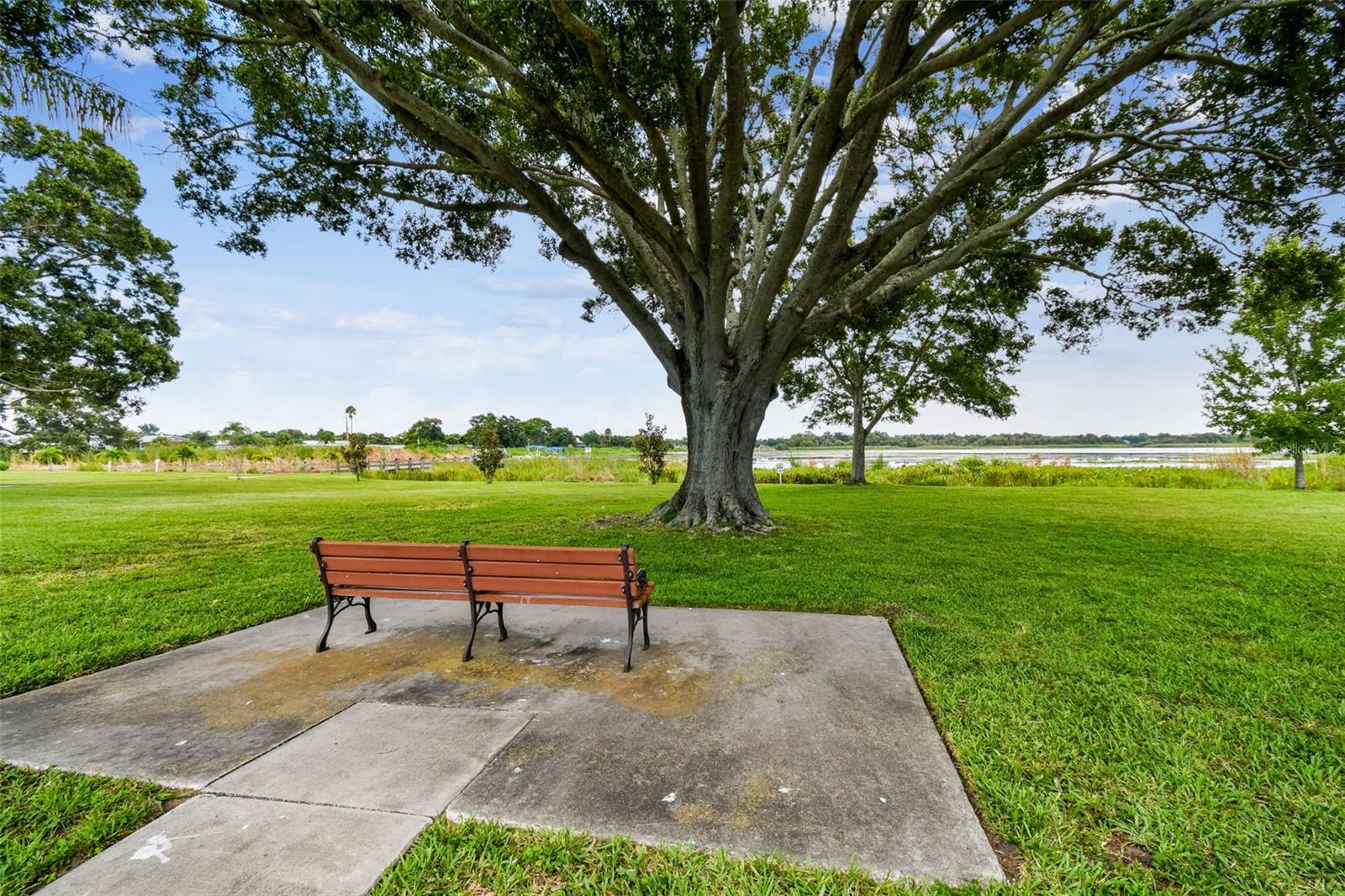 Image 49 of 73 For 12651 Seminole Boulevard 35