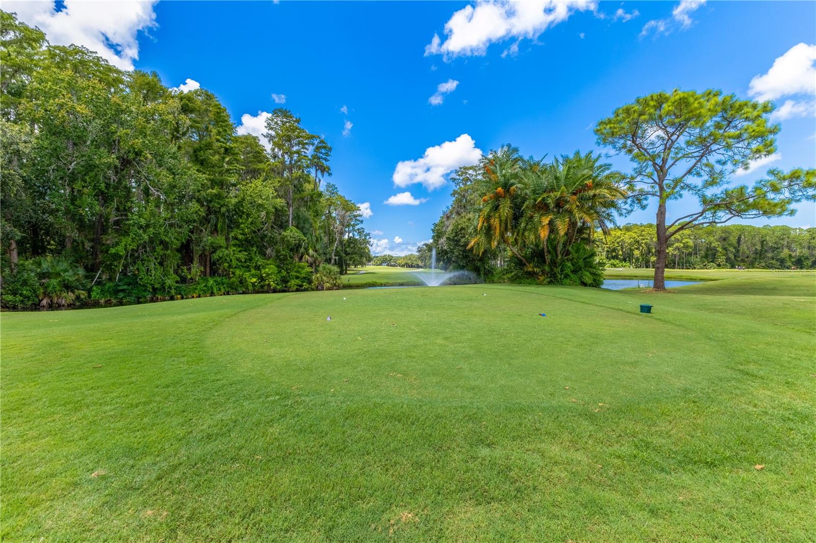 Image 26 of 43 For 9204 Turnberry Court 9204