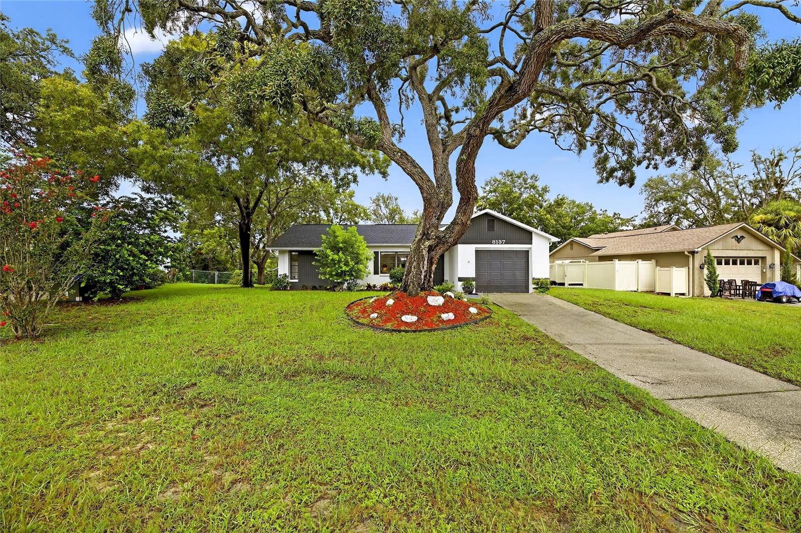 Image 36 of 36 For 8137 English Elm Circle