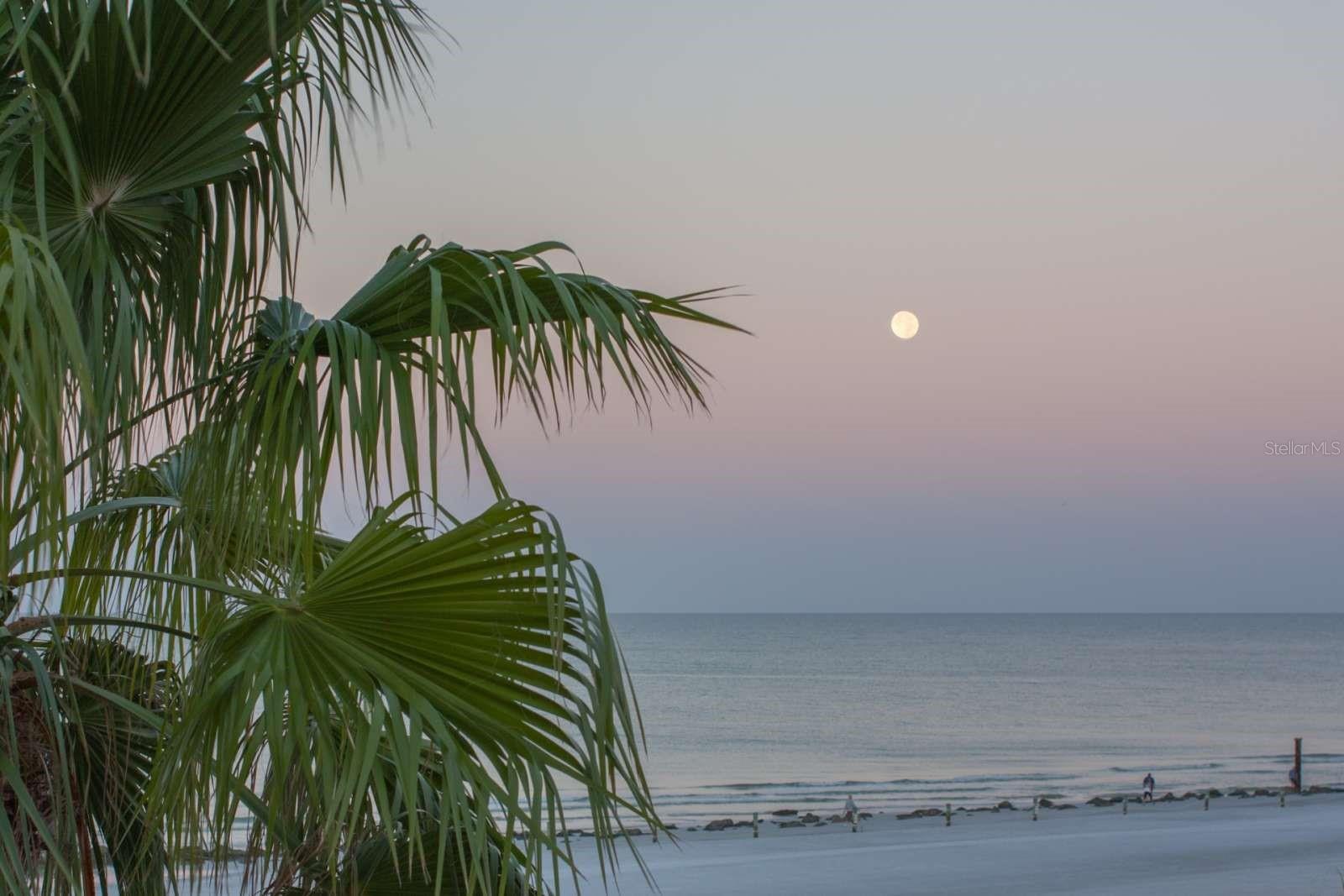 Image 43 of 43 For 16333 Gulf Boulevard 204