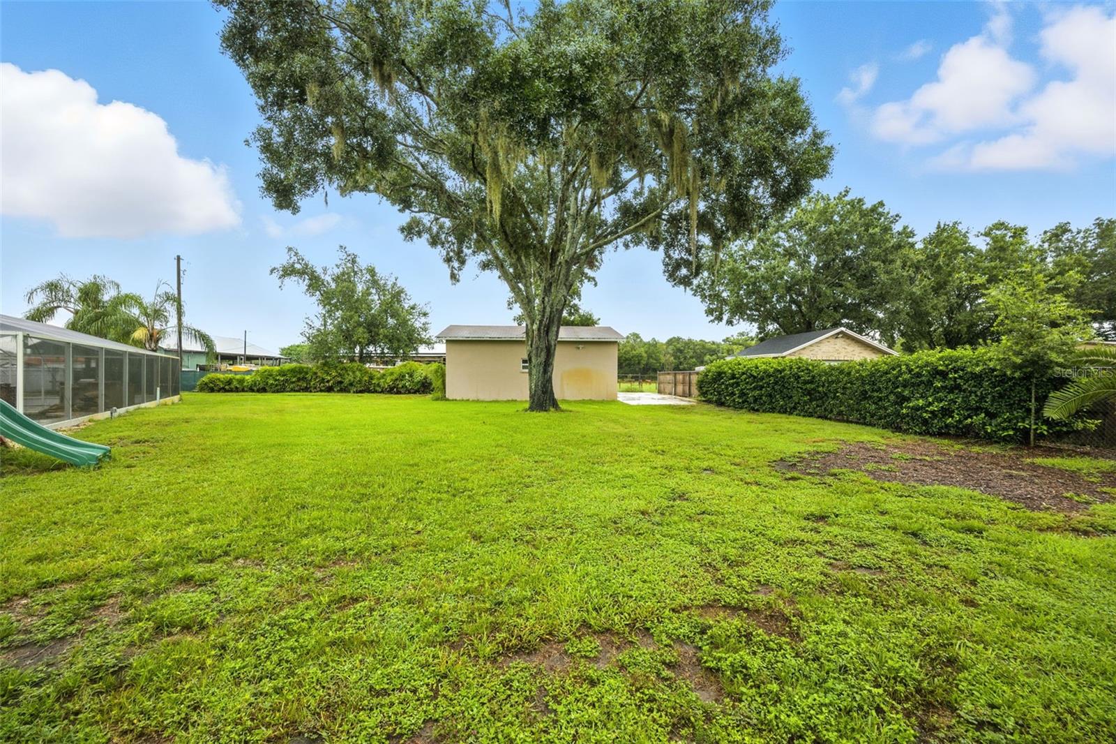 Listing photo id 40 for 10502 Lake Williams Drive