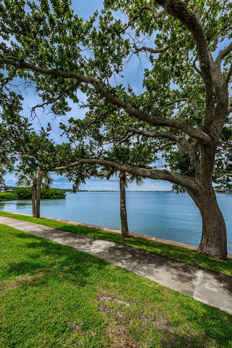Image 46 of 57 For 8 Belleview Boulevard 601
