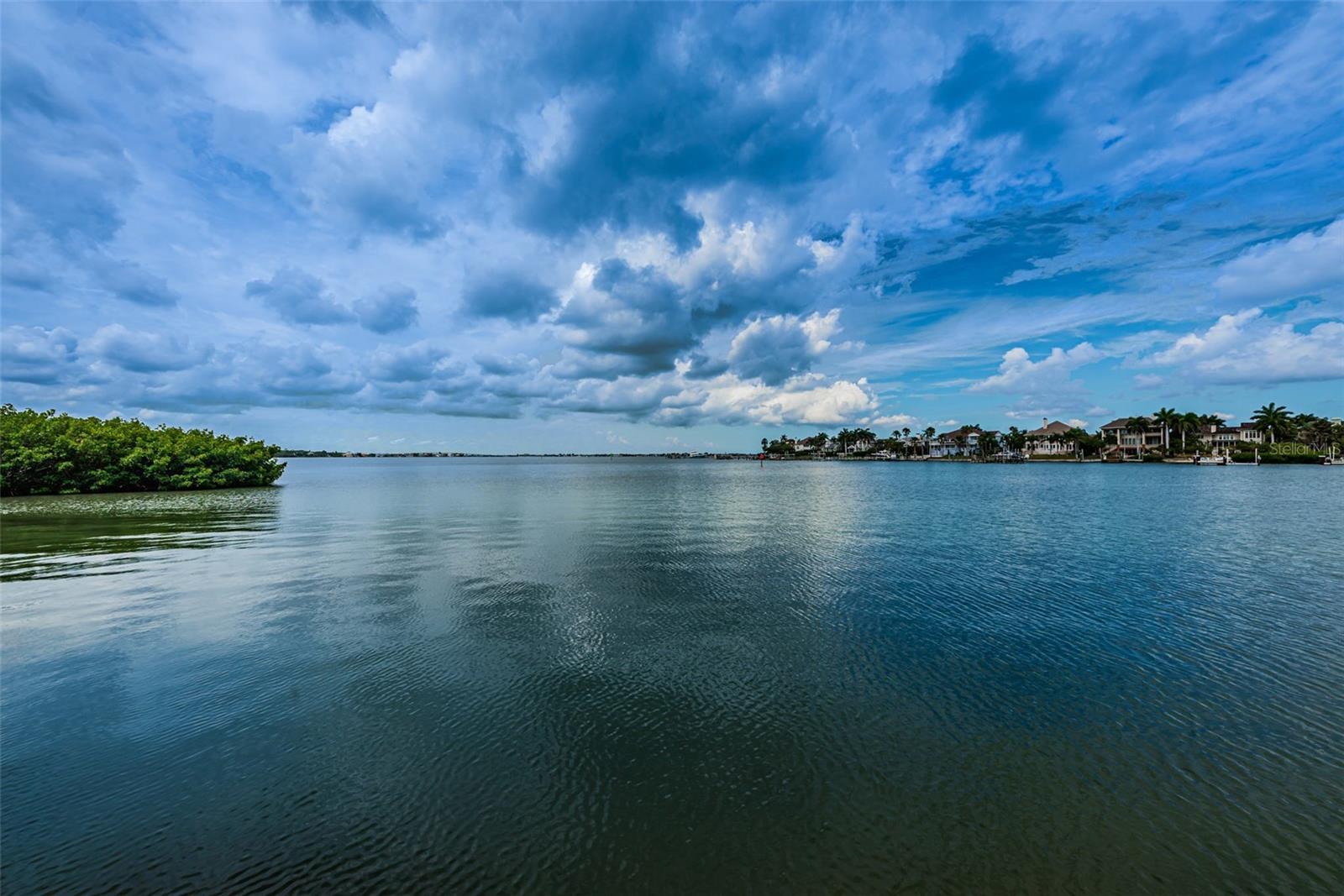 Image 47 of 57 For 8 Belleview Boulevard 601