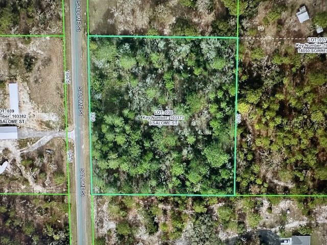 Listing photo id 1 for Salome Street