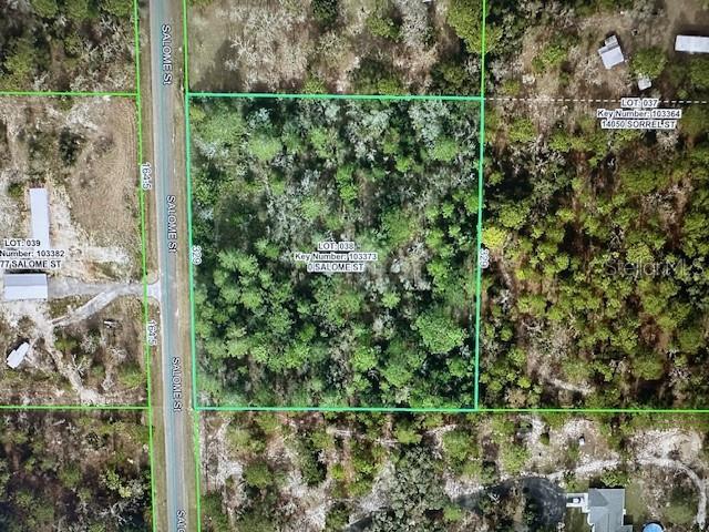 Listing photo id 2 for Salome Street