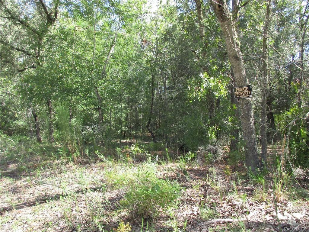 Image 2 of 9 For 8339 Creek Way