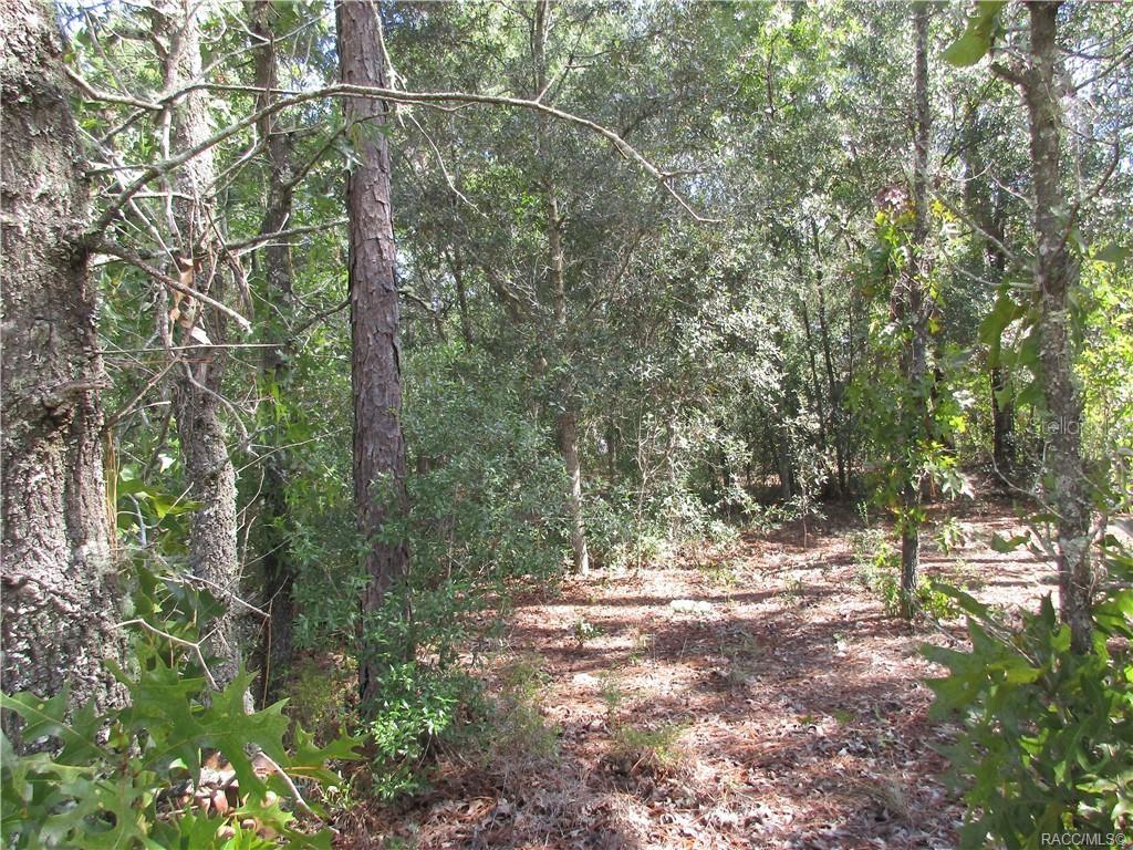 Image 3 of 9 For 8339 Creek Way