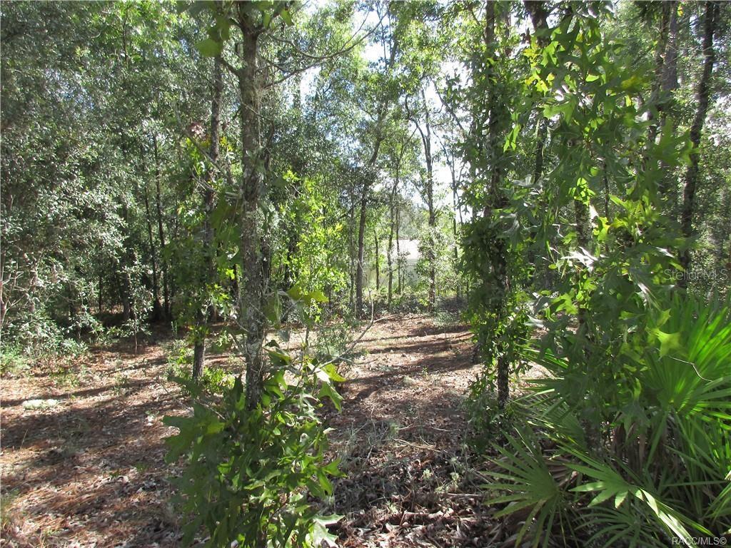 Image 4 of 9 For 8339 Creek Way