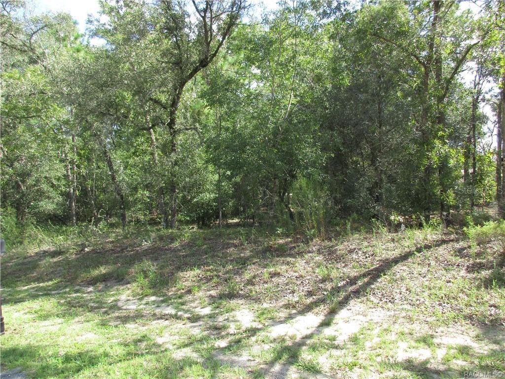 Image 5 of 9 For 8339 Creek Way