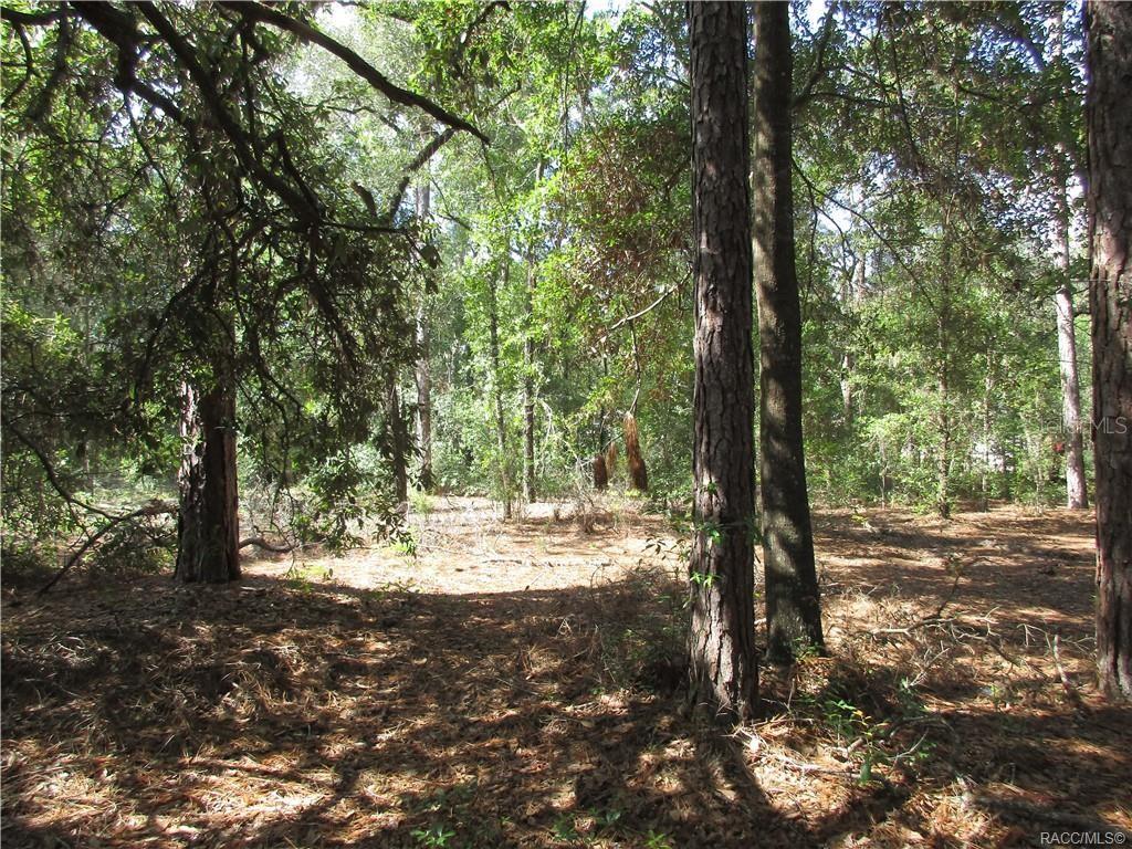 Image 6 of 9 For 8339 Creek Way