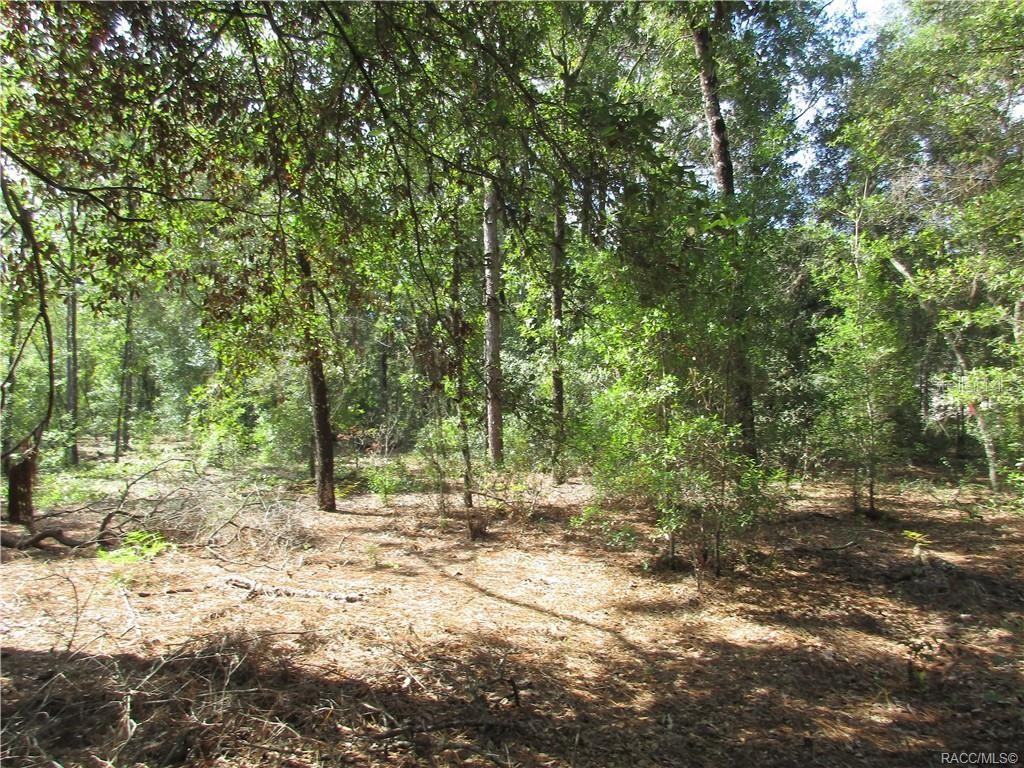 Image 7 of 9 For 8339 Creek Way