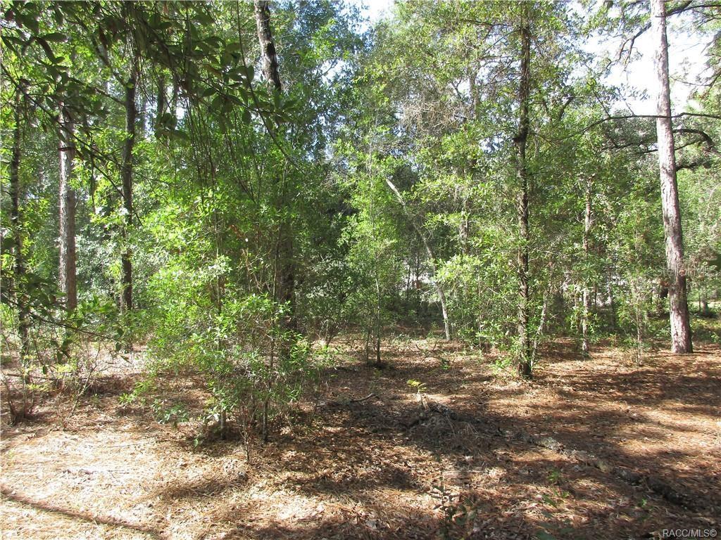 Image 8 of 9 For 8339 Creek Way