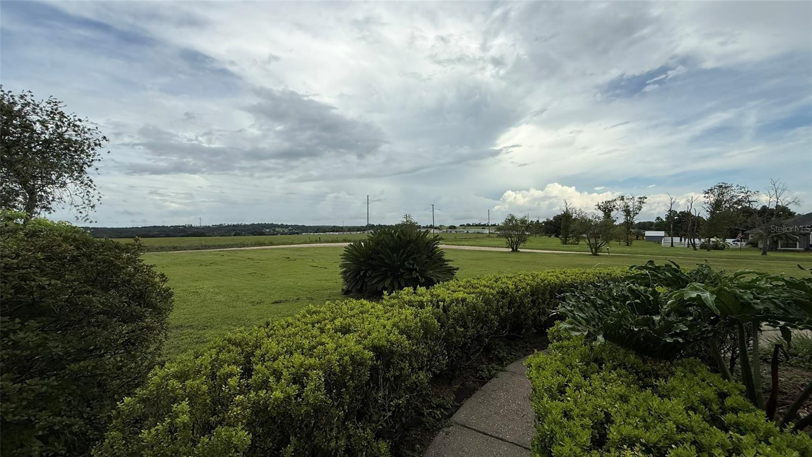 Listing photo id 19 for 39310 Richland Road